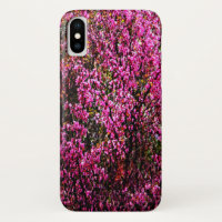 Red bud flowers......