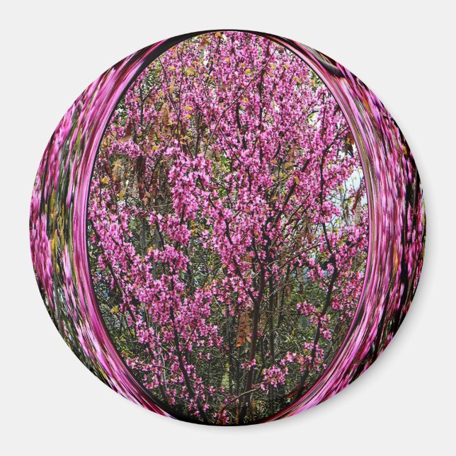 Red Bud tree.... Magnet (Front)