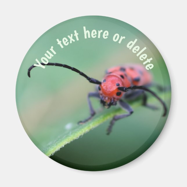 Red Bug With Attitude Nature Personalized Magnet (Front)