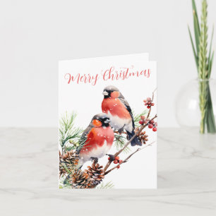 Red Bullfinch Christmas Birds Berries & Pine Cones Holiday Card