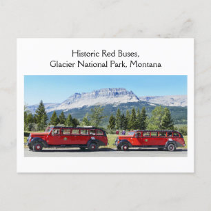Red Buses, Glacier National Park, Montana Postcard