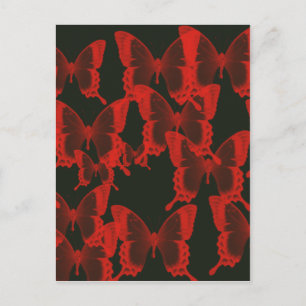 red butterfly from dark night background postcard