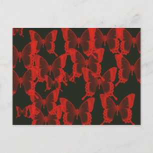 red butterfly from dark night background postcard