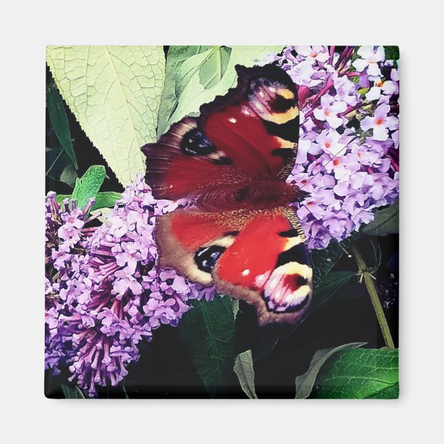 Red butterfly magnet (Front)