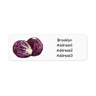 Red cabbage cartoon illustration