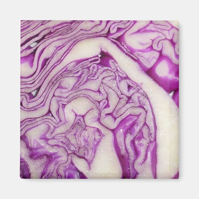 Red cabbage magnet (Front)