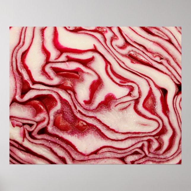 Red cabbage poster (Front)