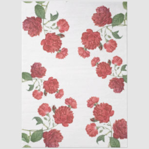 Red Cabbage Roses Tissue Paper