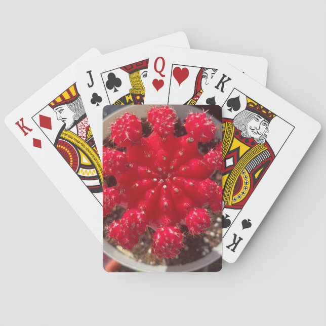 Red Cactus Blossom Top Garden Playing Cards (Back)