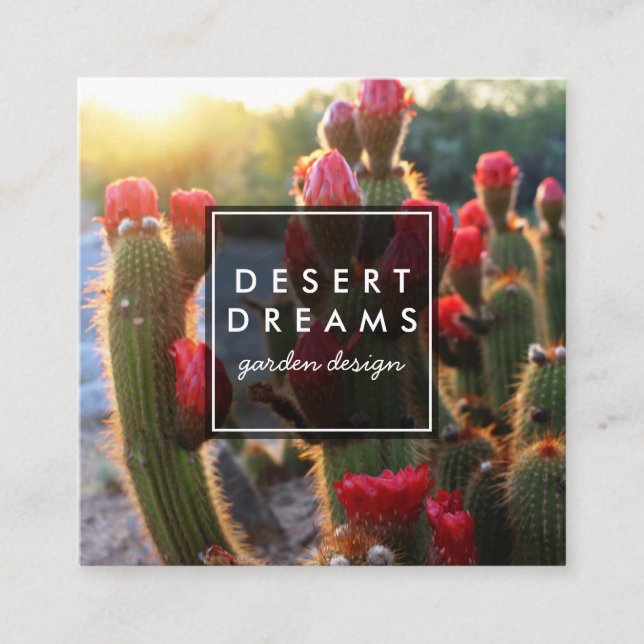 Red Cactus Flower Desert Garden Photo Travel Tours Square Business Card (Front)