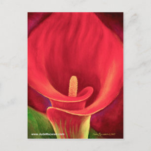 Red Cala Lily Tropical Flower Art - Multi Postcard