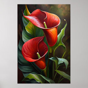 Red Calla Lilies Lily Flower Art Print Poster