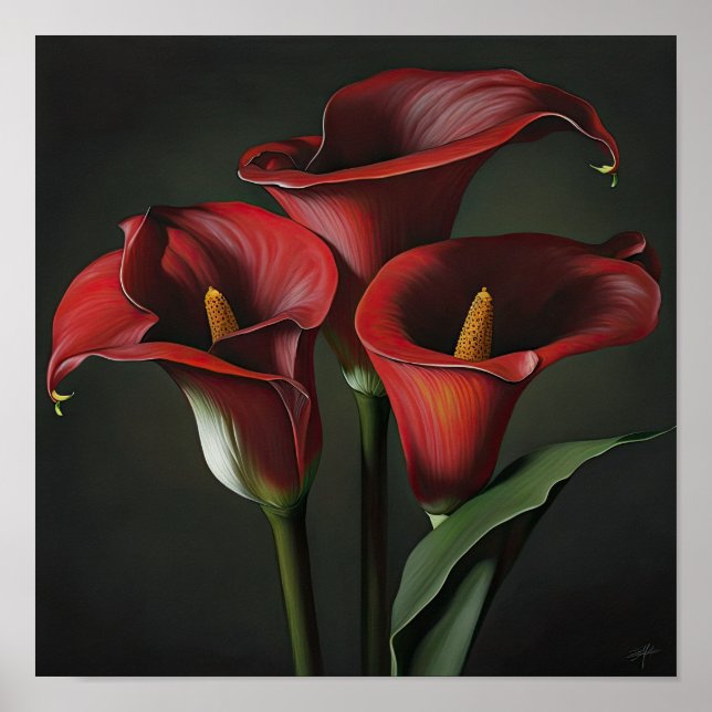 Red Calla Lilies Lily Flower Art Print Poster (Front)