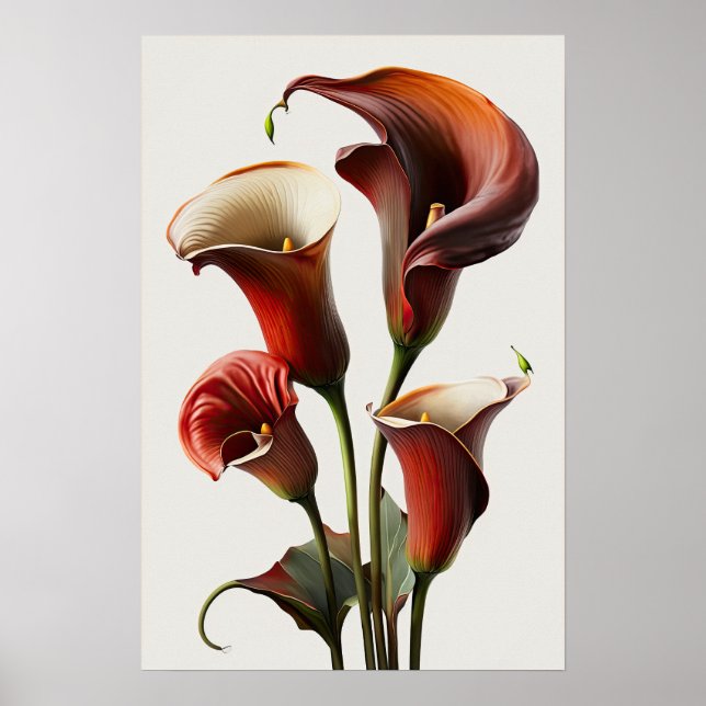 Red Calla Lilies Lily Flower Art Print Poster (Front)