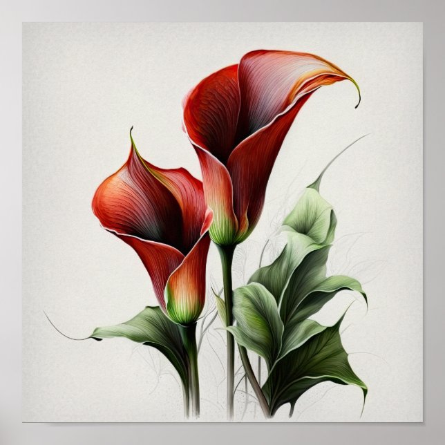 Red Calla Lilies Lily Flower Art Print Poster (Front)