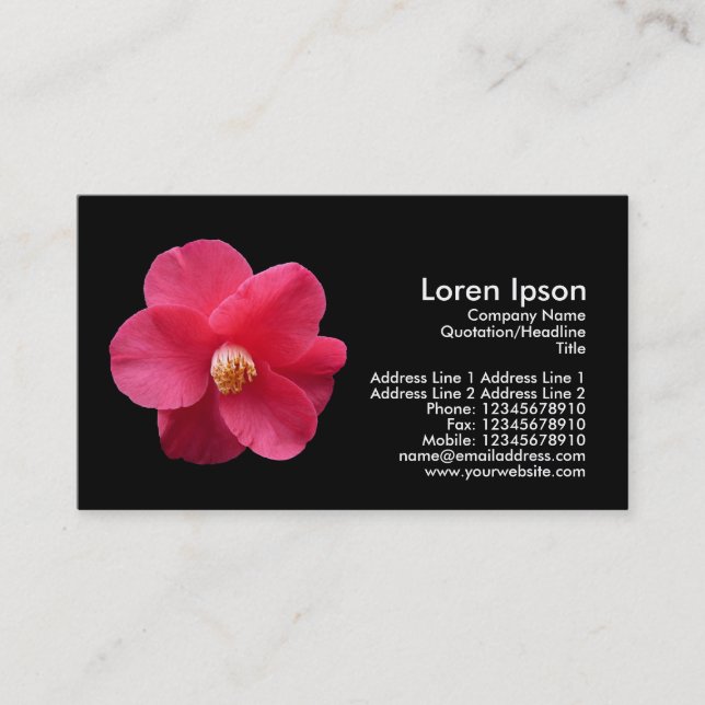 Red Camelia - Black Business Card (Front)