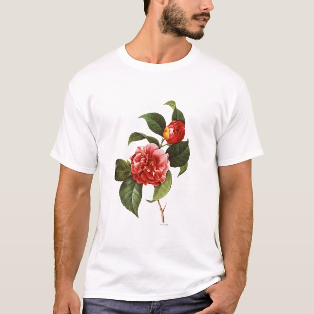 Red Camellia, 1833 T-Shirt (Front)