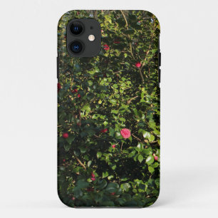 Red Camellia Bush iPhone 11 Case