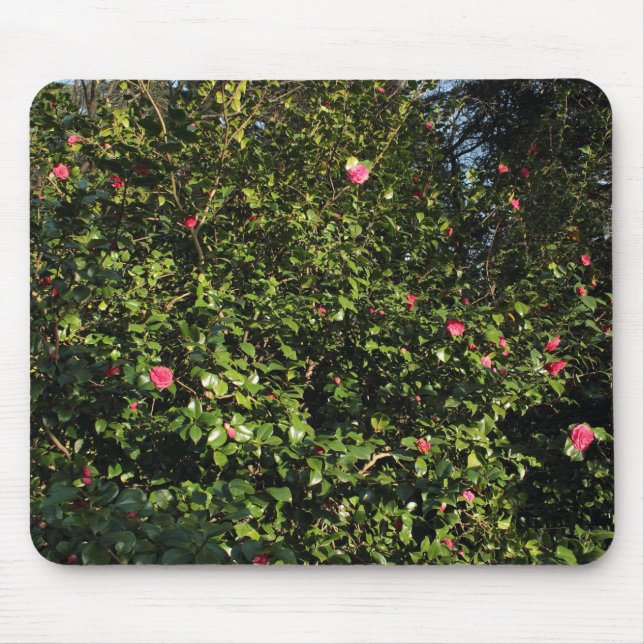 Red Camellia Bush Mouse Mat (Front)