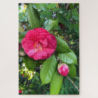 Red Camellia, Palo Alto Jigsaw Puzzle