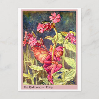 Red Campion Fairy Postcard