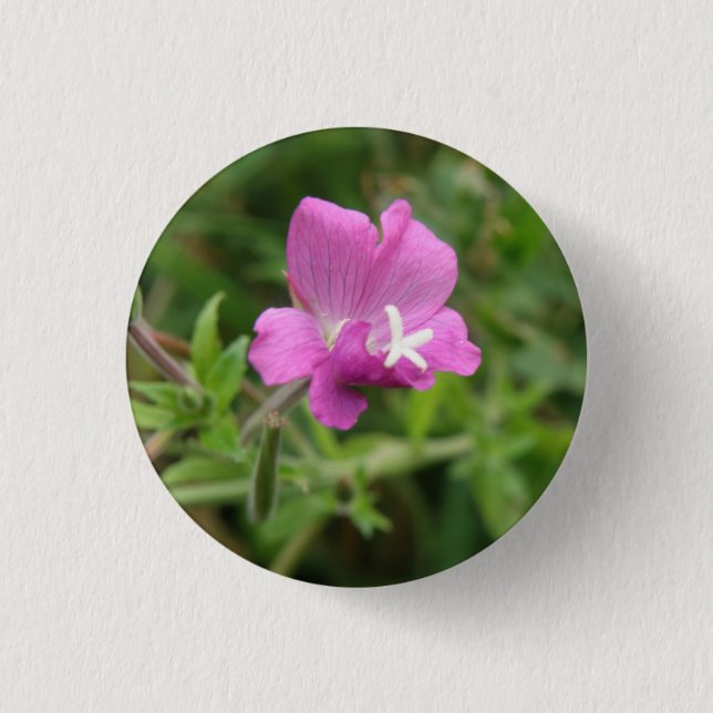 Red Campion Wildflower Button (Front)