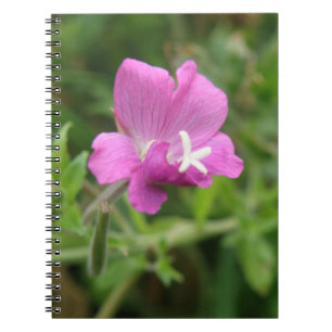 Red Campion Wildflower Notebook