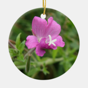 Red Campion Wildflower Ornaments