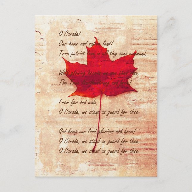 red Canadian maple leaf with national anthem Postcard (Front)