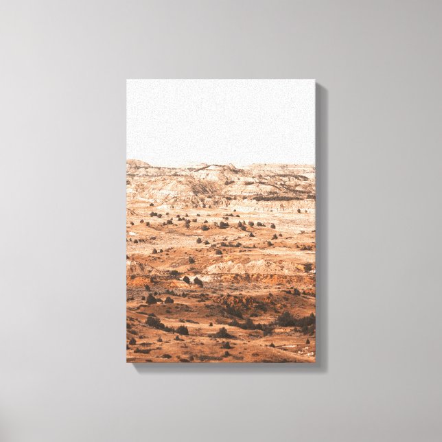Red Canyon Landscape  Canvas Print (Front)