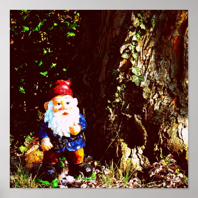 Red Capped Gnome Poster (Front)