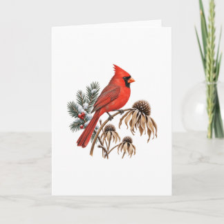 Red Cardinal and Snowy Seed Heads Card