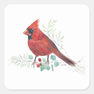 Red Cardinal Bird Berries Square Sticker