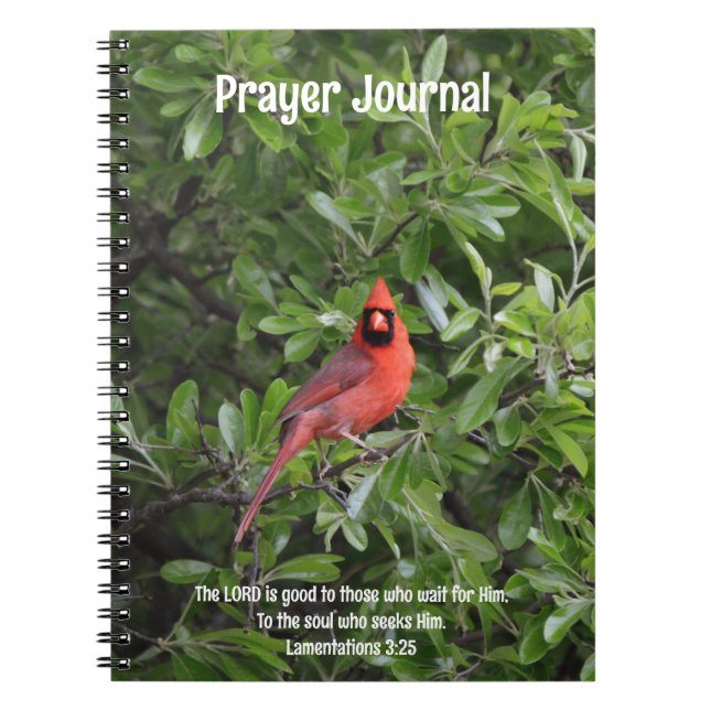 Red Cardinal Bird Bible Verse Prayer Journal (Front)
