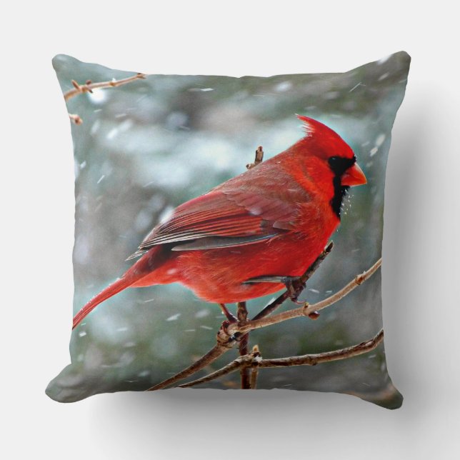 Red Cardinal bird, cold winter day Cushion (Front)