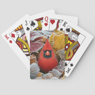 Red Cardinal Bird in Frosty Autumn Leaves Playing Cards