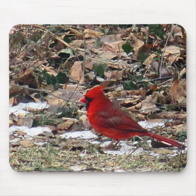 Red Cardinal Bird in Leaves Mouse Mat (Front)