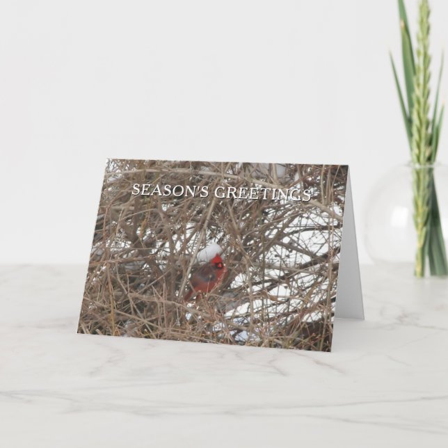 Red Cardinal Bird in Snow Season's Greetings Card (Front)