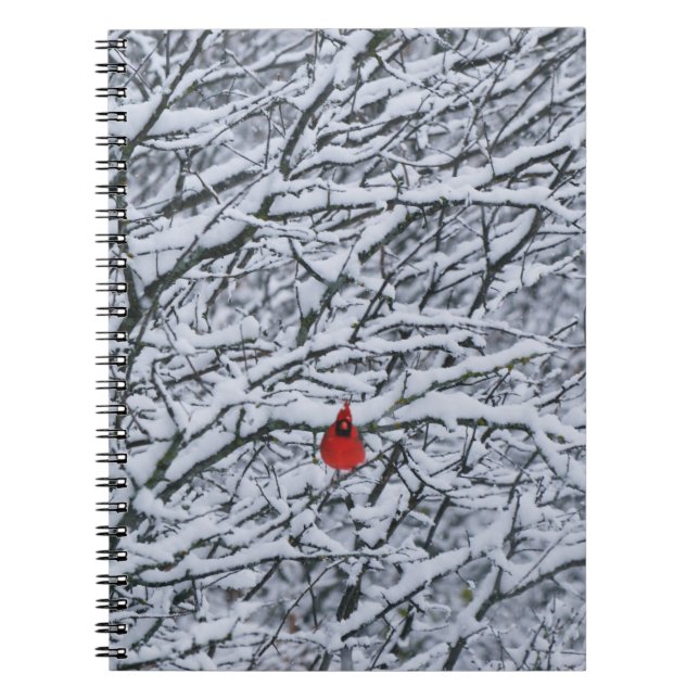 Red Cardinal Bird in Snowy Tree Journal (Front)