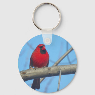 Red Cardinal/Bird Key Ring