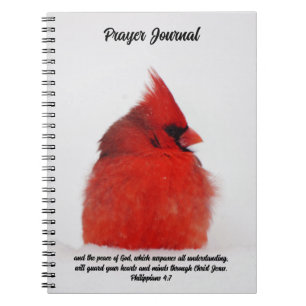 Red Cardinal Bird Peace in Snow Prayer Journal