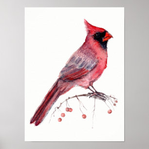 Red Cardinal Bird Poster