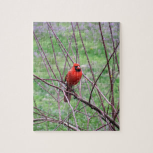 Red Cardinal Bird Sitting on Branch Jigsaw Puzzle