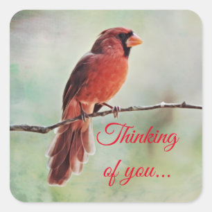 Red Cardinal Bird Thinking of you Sticker