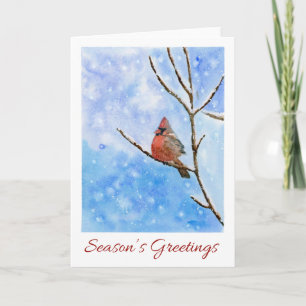 Red Cardinal Bird   watercolor Christmas Card