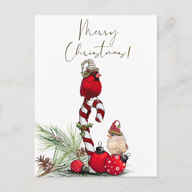Red Cardinal Bird Watercolor Winter Christmas Postcard (Front)