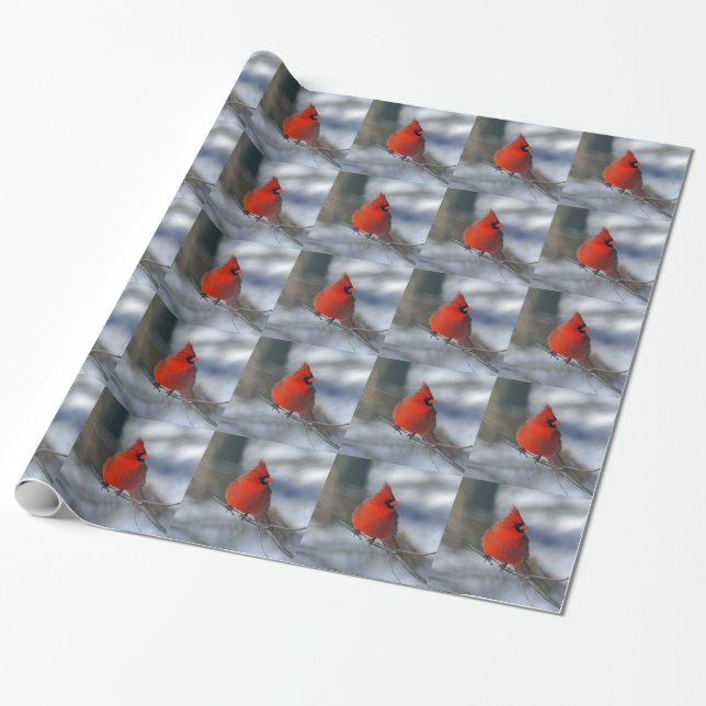 Red Cardinal Bird Wrapping Paper (Unrolled)