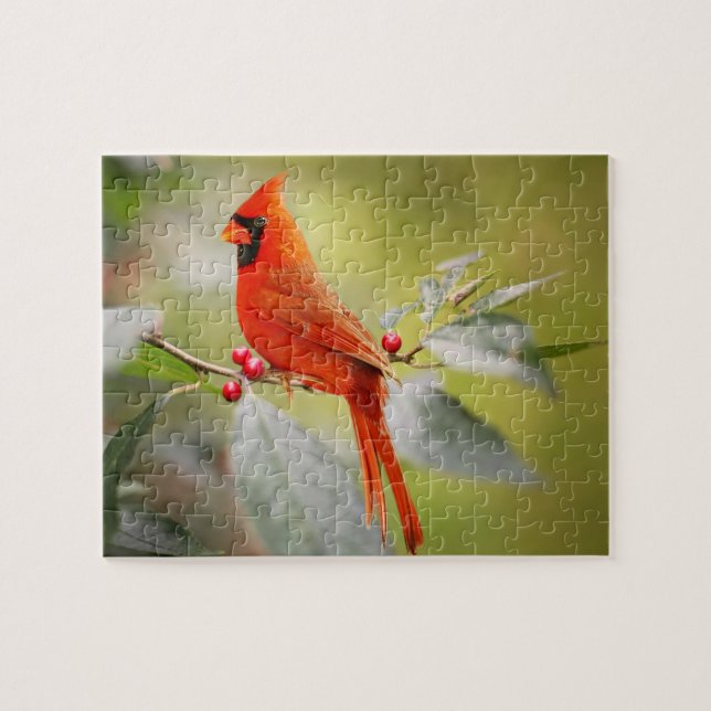 Red Cardinal Christmas Holidays Nature Jigsaw Puzzle (Horizontal)