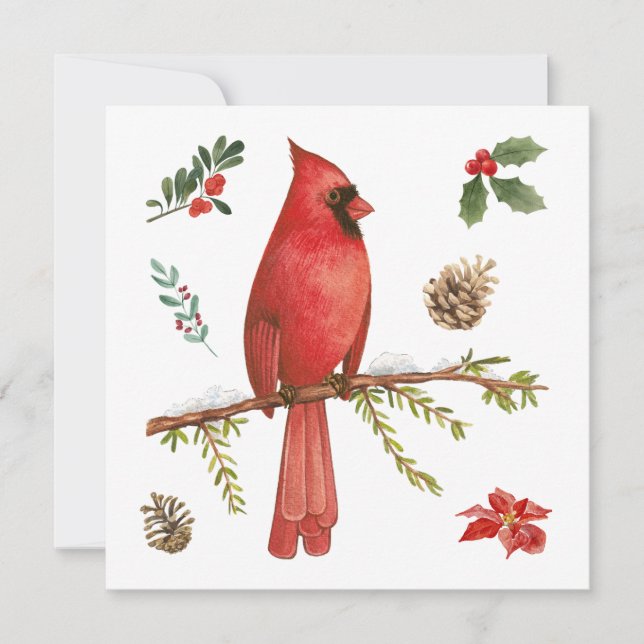 Red Cardinal Christmas Nature Illustration  Holiday Card (Front)