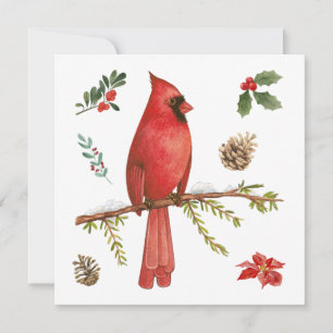 Red Cardinal Christmas Nature Illustration  Holiday Card